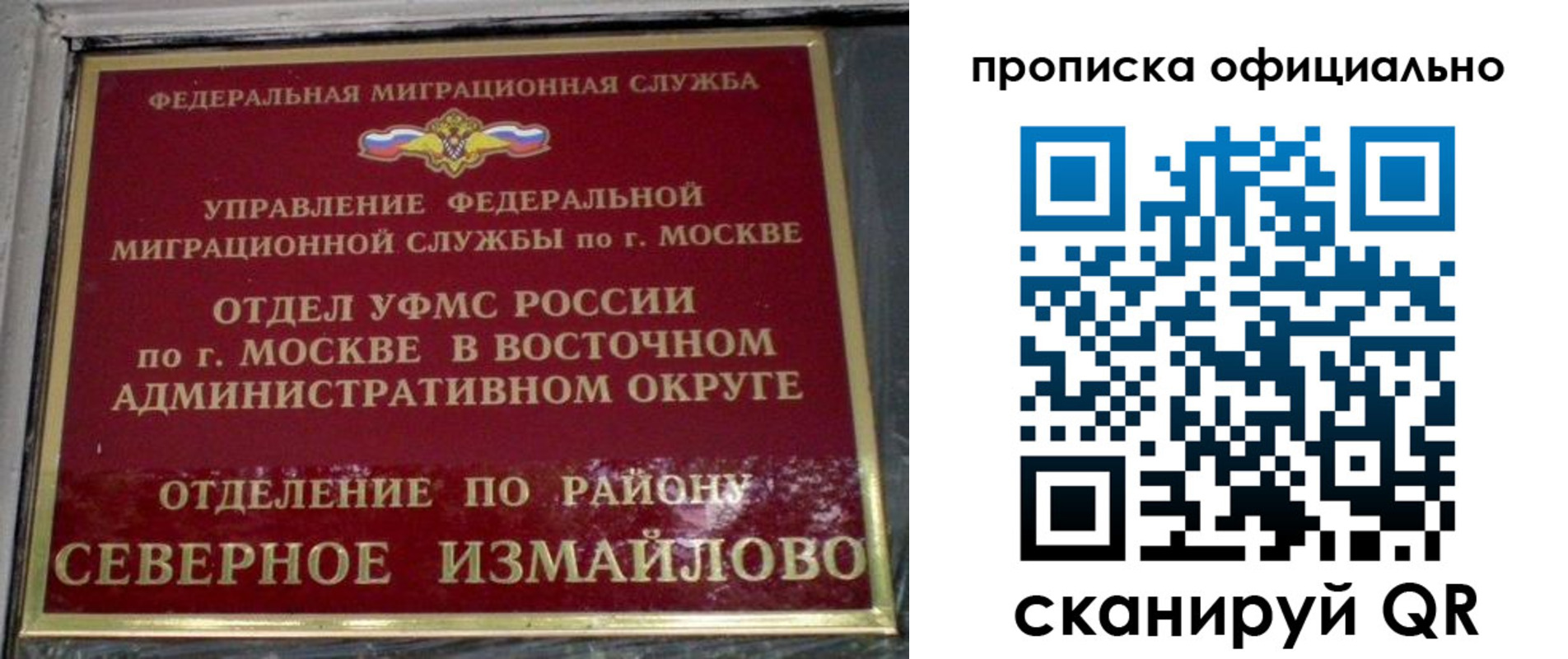 найти адрес прописки в Оленегорске